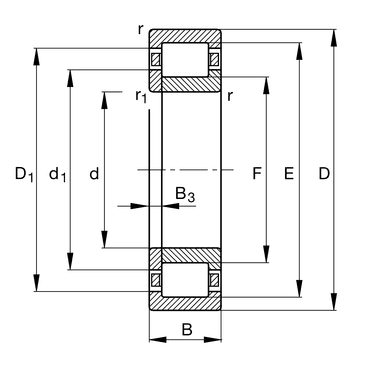 NUP238-E-M1-C3